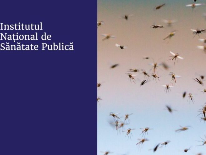 Țânțarii și căpușele pot transmite boli?