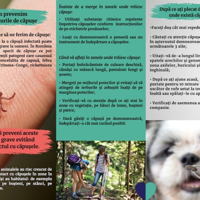 Cum ne ferim de căpușe?