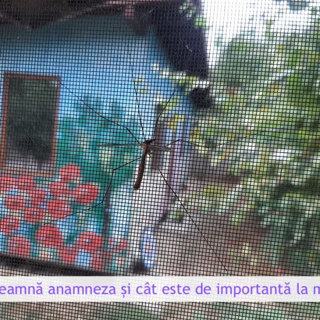 Ce înseamnă anamneza și cât este de importantă la medic?