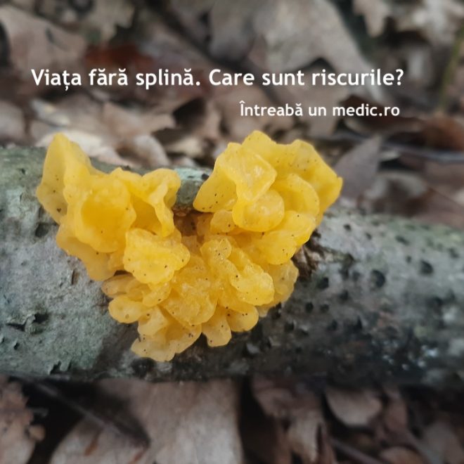 Viața fără splină. Care sunt riscurile?