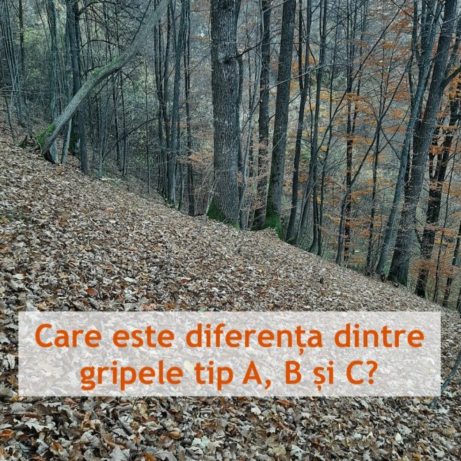 Care este diferența dintre gripa tip A, gripa tip B și gripa tip C?