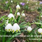 Ce trebuie să conțină un set de analize medicale?