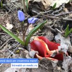 Ce înseamnă dacă am creatinina mare?