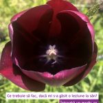 Ce trebuie să fac, dacă mi s-a găsit o leziune la sân?