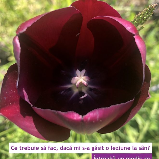 Ce trebuie să fac, dacă mi s-a găsit o leziune la sân?