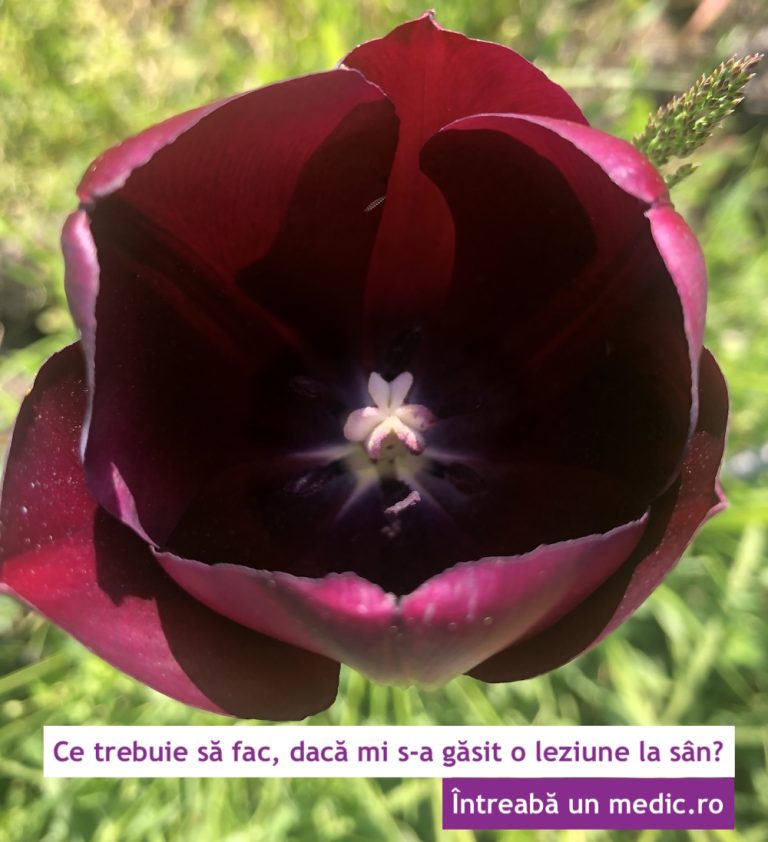 Ce trebuie să fac, dacă mi s-a găsit o leziune la sân?