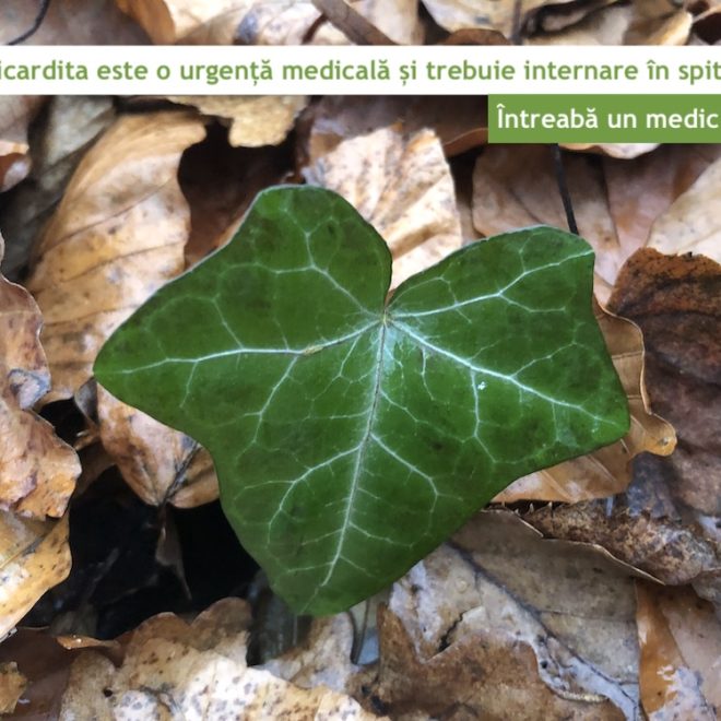 Pericardita este o urgență medicală și trebuie internare în spital?